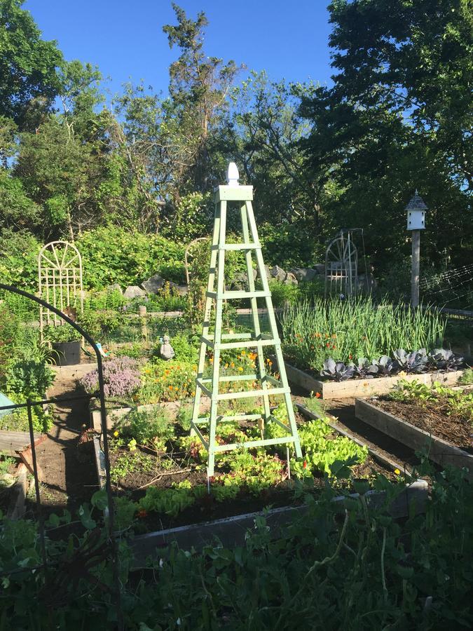 Bed and Breakfast Lavender Bay Barnstable Exterior foto